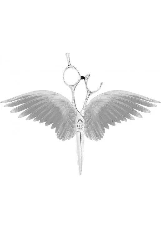 Професійні ножиці для стрижки Преміум колекція 5.5